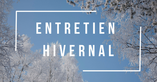 Entretien hivernal