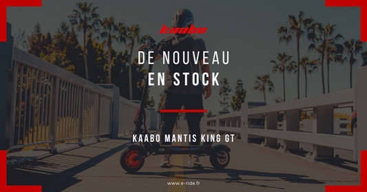 Nouvel arrivage Kaabo Mantis !